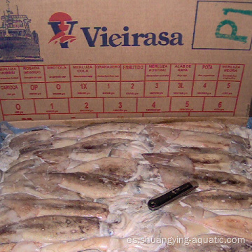 Squid Frozen Squid Illex Argentina por al por mayor